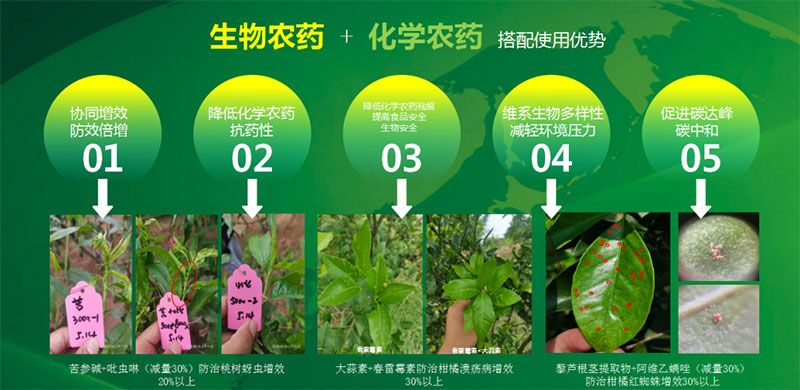 新朝陽在第六屆中國農(nóng)藥行業(yè)市場和銷售高峰論壇做“生物農(nóng)藥+化學(xué)農(nóng)藥，引領(lǐng)植保市場未來”主題報告