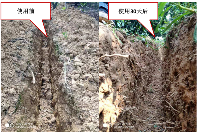 “土壤板結(jié)克星”：土壤調(diào)理劑你了解多少？