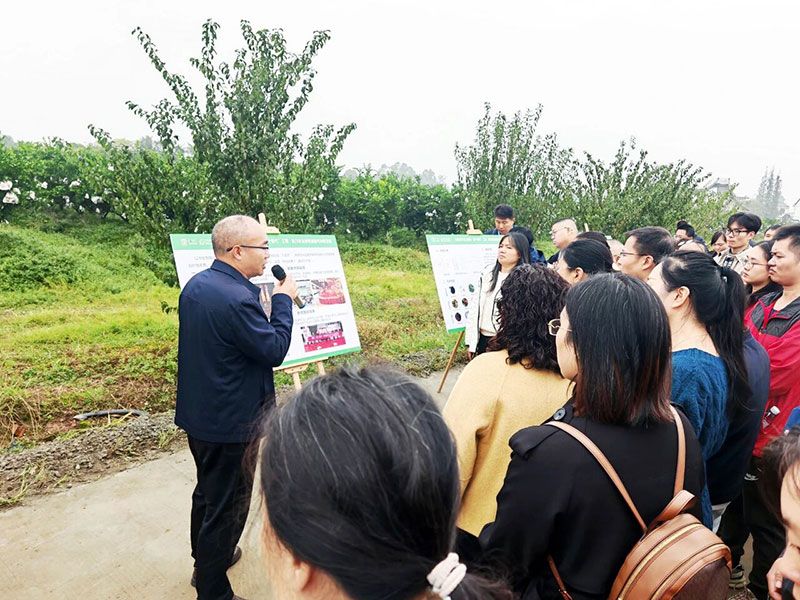 新朝陽生物技術(shù)助力綠色防控，推動柑橘產(chǎn)業(yè)綠色高質(zhì)量發(fā)展