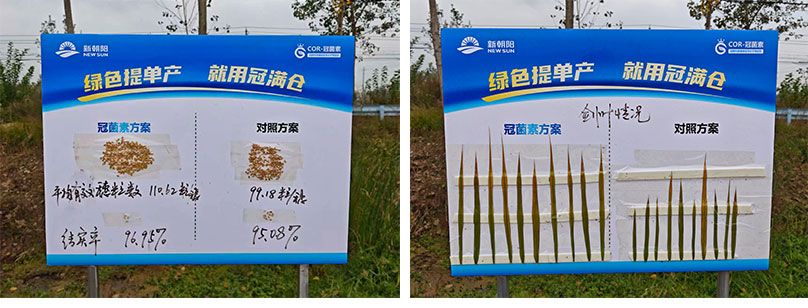 成都新朝陽COR冠菌素入選“2025中國農(nóng)業(yè)重大新產(chǎn)品”